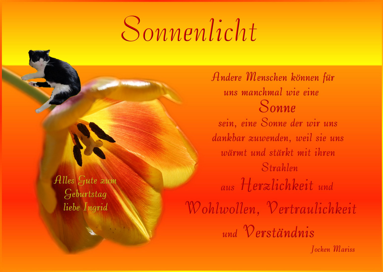 Oups Themenwelt Oups Buch Gluckwunsche Fur Einen Lieben