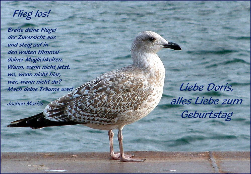 Heute ist dein Tag... Foto & Bild gratulation und feiertage