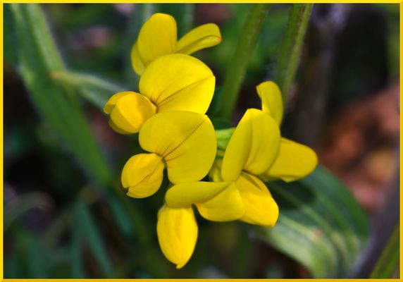 Heute ist dein Tag, Happy Birthday !!!