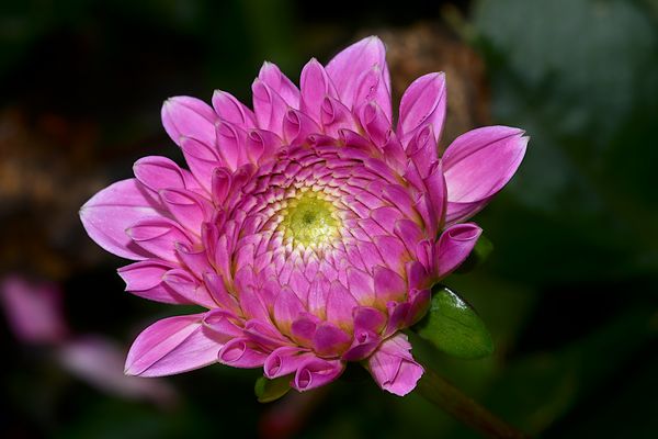 HEUTE IST EIN BESONDERER TAG! 