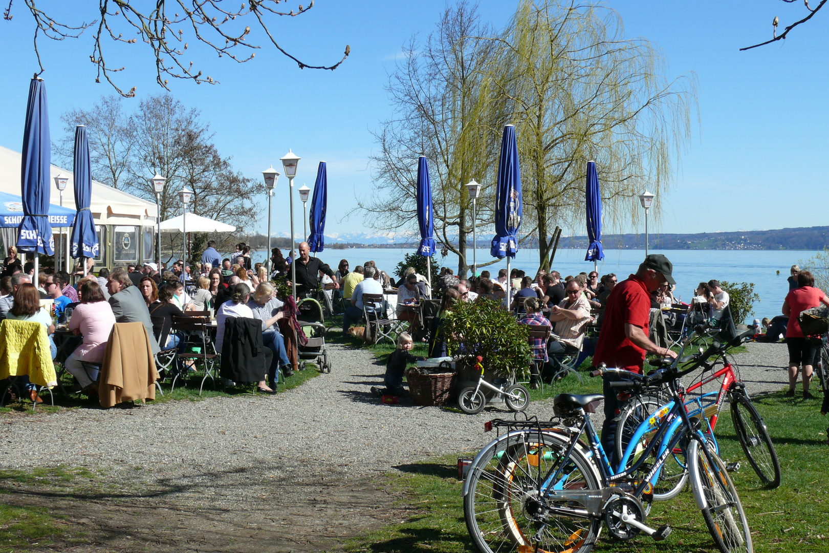 Heute ist Frühling