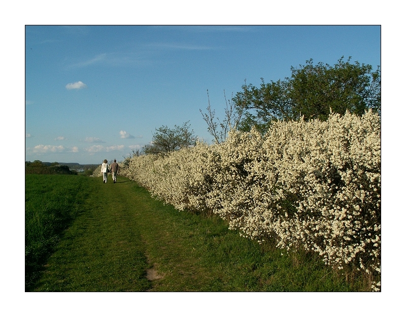 Heute ist Frühlingsbeginn