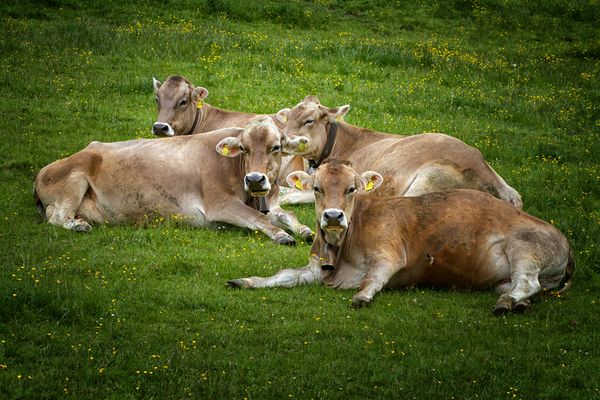 Heute ist hier ein sonniger Sonntag....