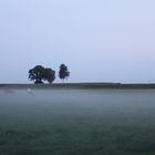 Heute ist meteorologischer Herbstanfang