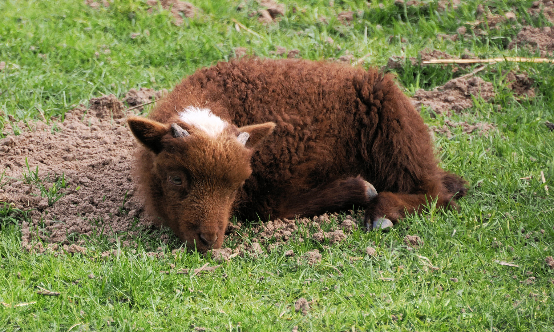 Heute ist mit mir nix los ….