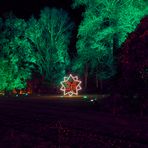 Heute ist nun der 24. Christmas Garden in Pillnitz