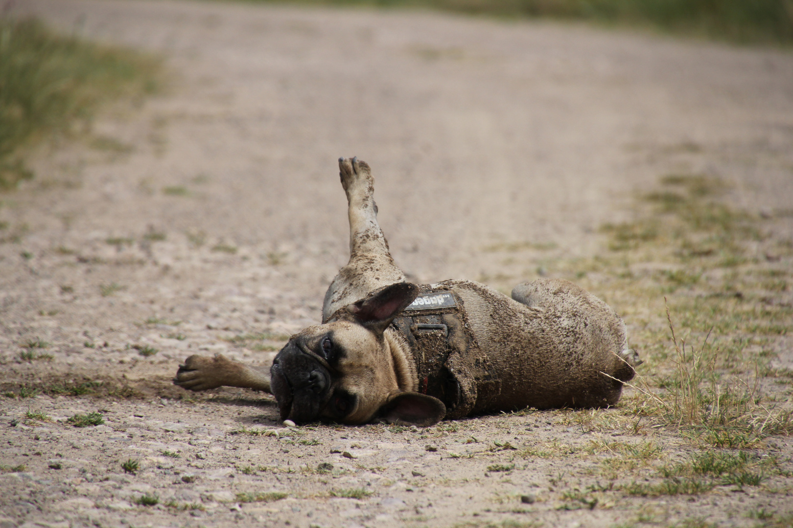 Heute ist relaxen angesagt;-)