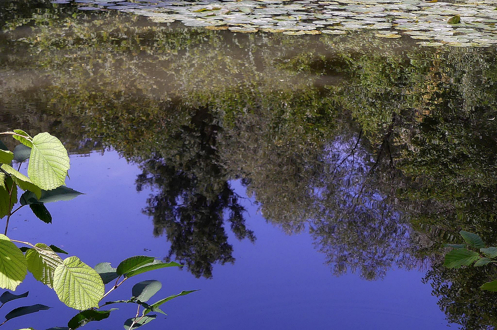 Heute, ist Spiegeltag!