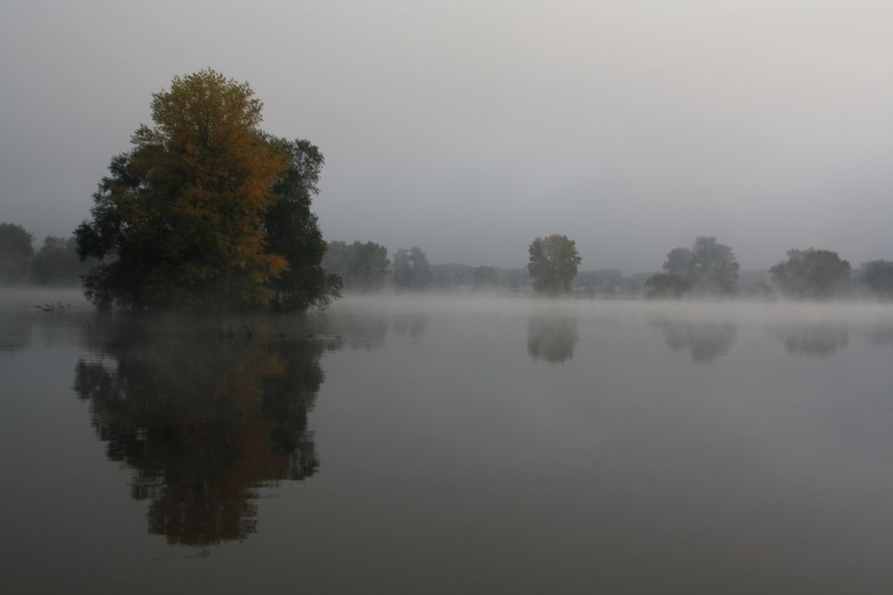 heute ist Spiegeltag