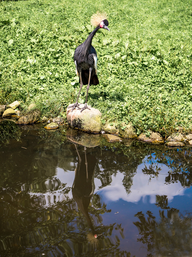 "Heute ist Spiegeltag ... da bin ich mit dabei! :-))"