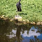 "Heute ist Spiegeltag ... da bin ich mit dabei! :-))"