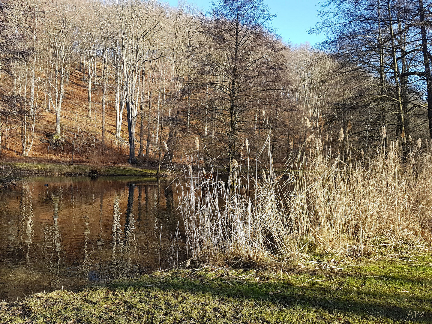 Heute ist Spiegeltag