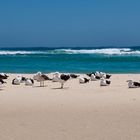 Heute ist Strand-Tag