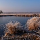 Heute ist Welttag der Feuchtgebiete …