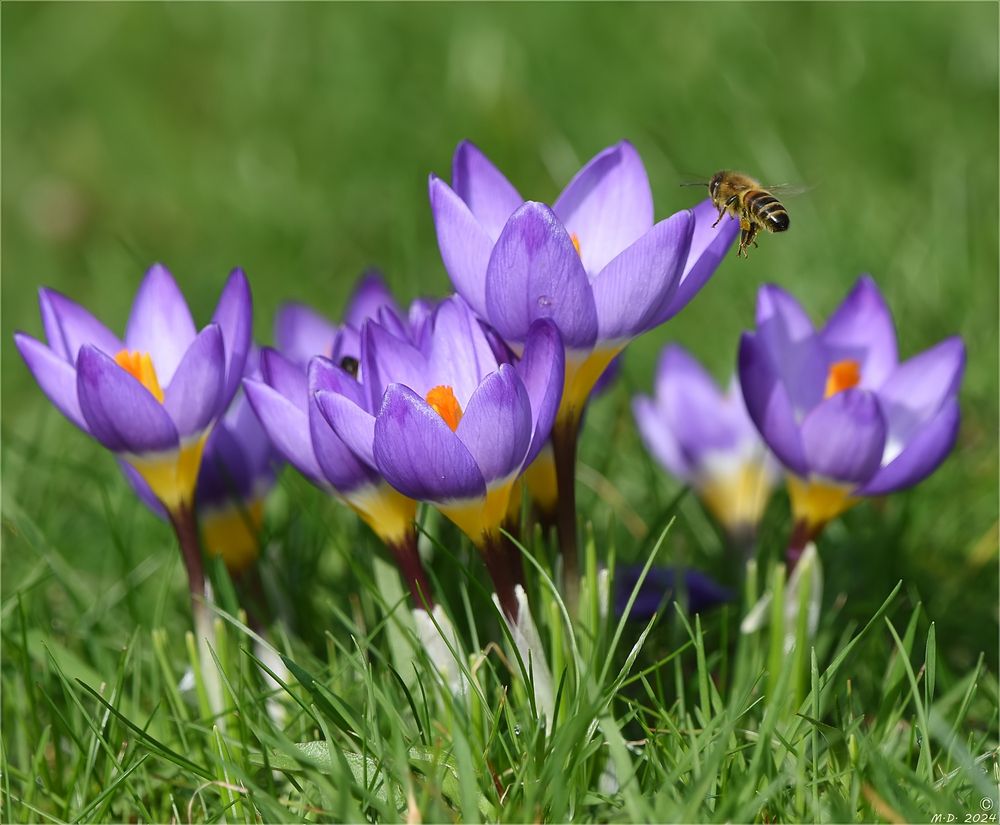 Heute kamen, bei 'Kaiserwetter' ,alle auf ihre Kosten !