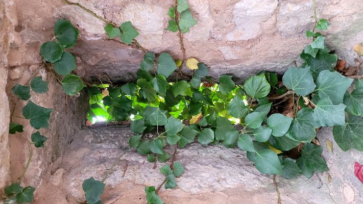 Heute kein Durchblick 