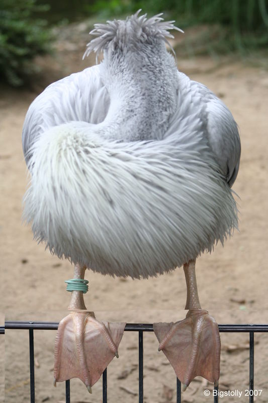 Heute keine Fotos