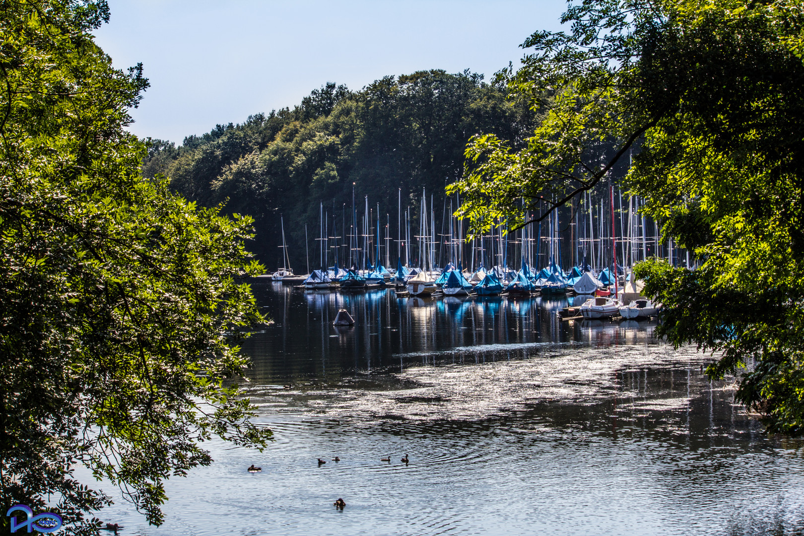 Heute keine Regatta!