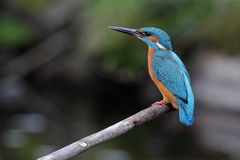 Heute keine Sonne ...