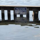 Heute können wir nicht schwimmen gehen...es ist zu seicht