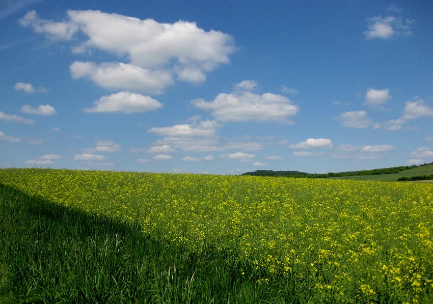 Heute mache ich blau