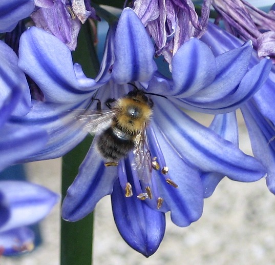 Heute machen wir mal blau