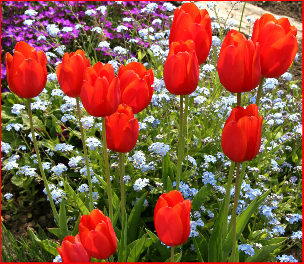 Heute mal alleine im Schrebergarten gegenüber