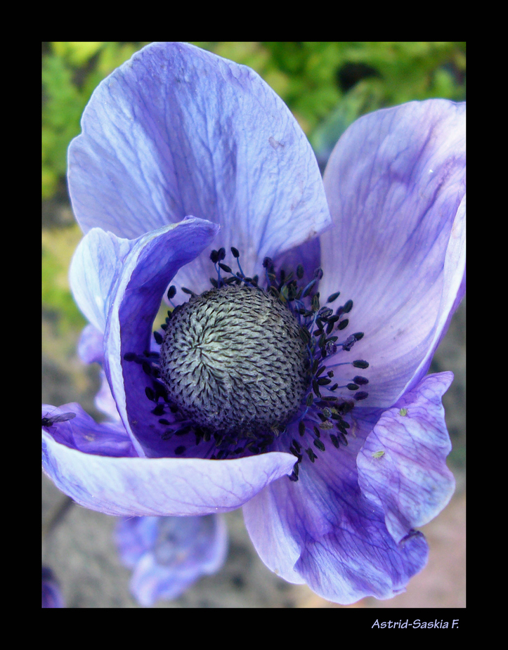 ~heute mal blau~