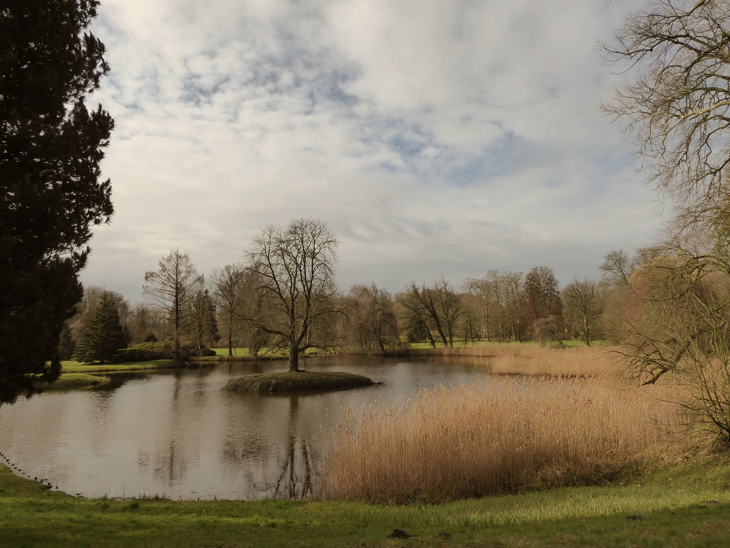 heute mal ohne Schnee - im Wiesenburger Park