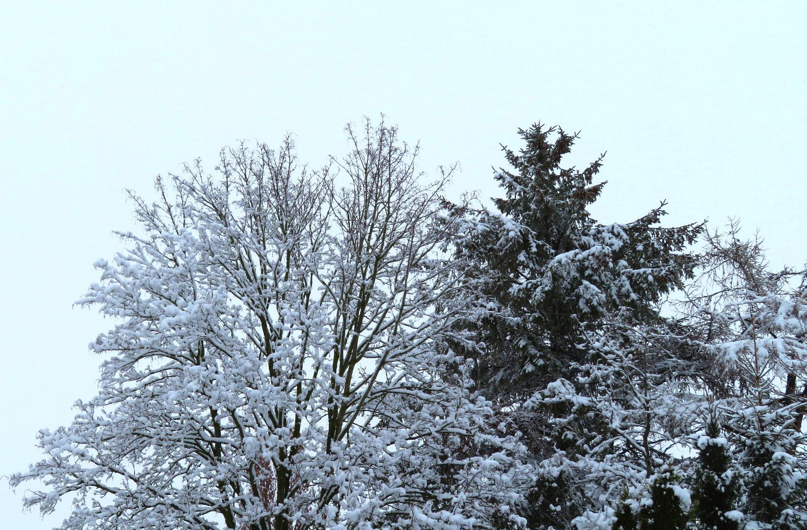 heute mal Schnee im Frühling ...