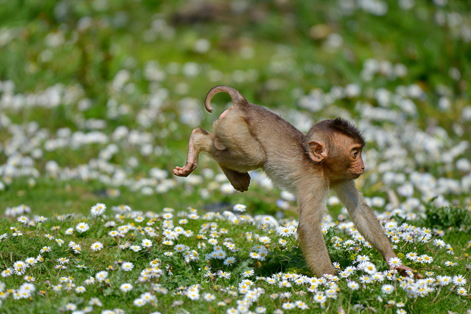 Heute mal wieder: Ein Frühling zum weglaufen