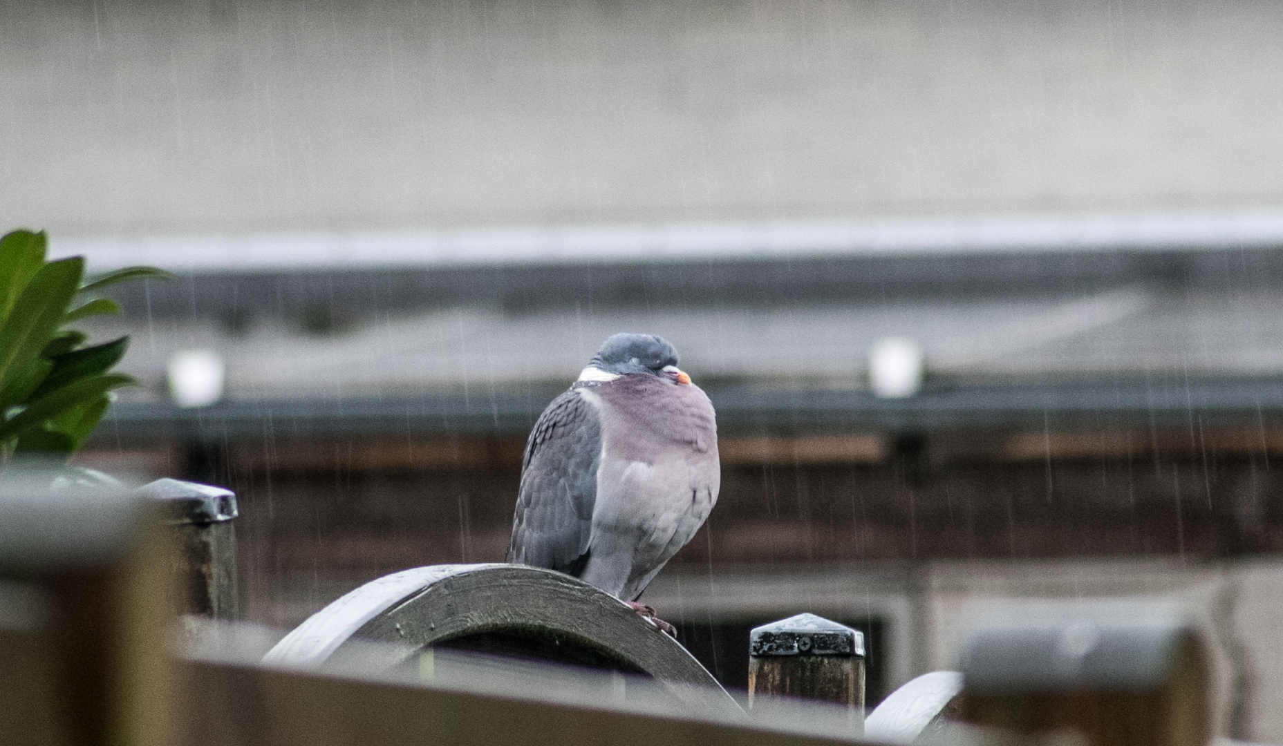 Heute - Mistwetter 