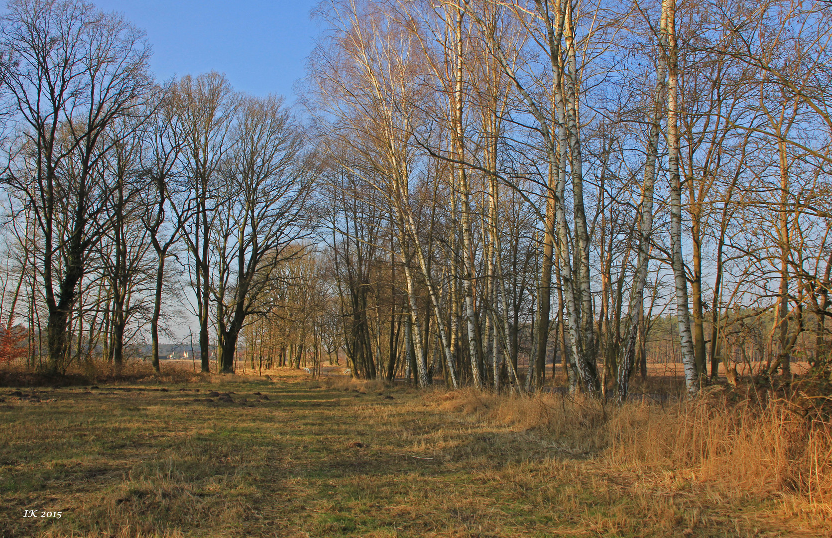 heute mit Sonne