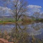 heute mit Wicky-Emily am See