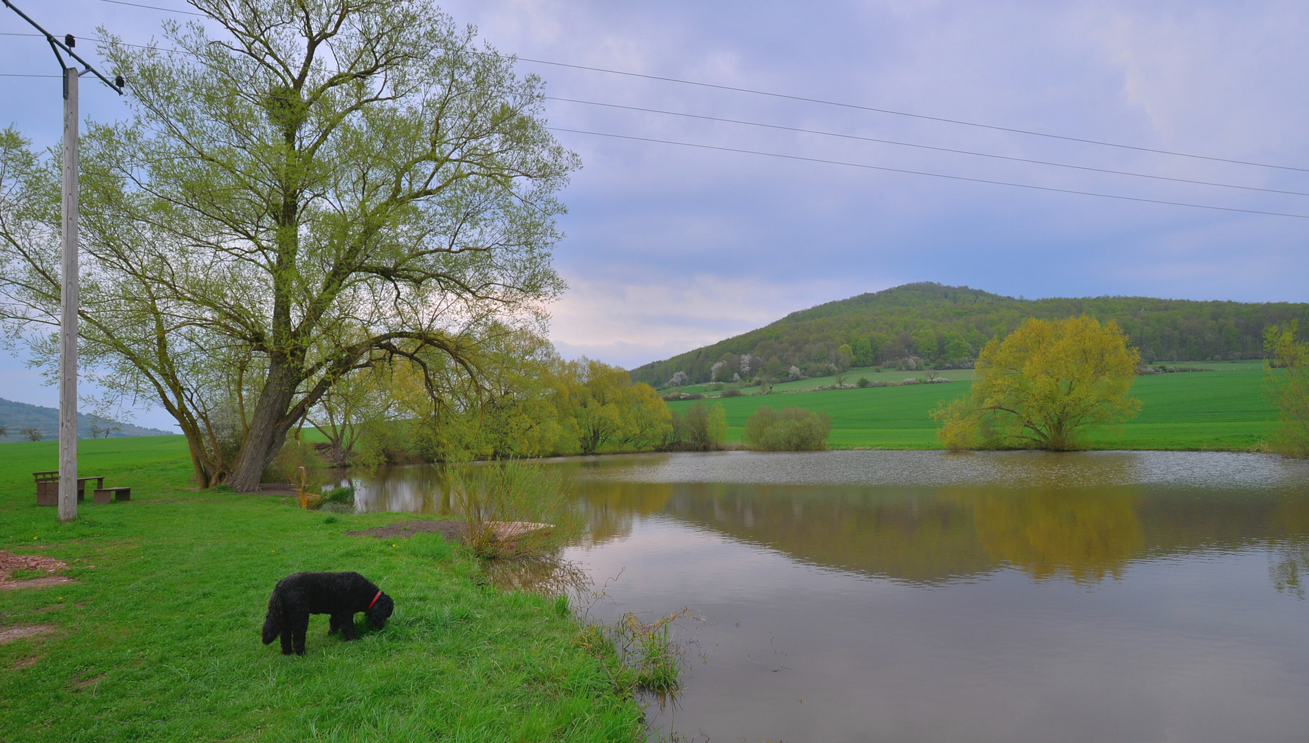 heute mit Wicky-Emily an unserem See