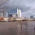 Heute MIttag am Mainufer in Frankfurt