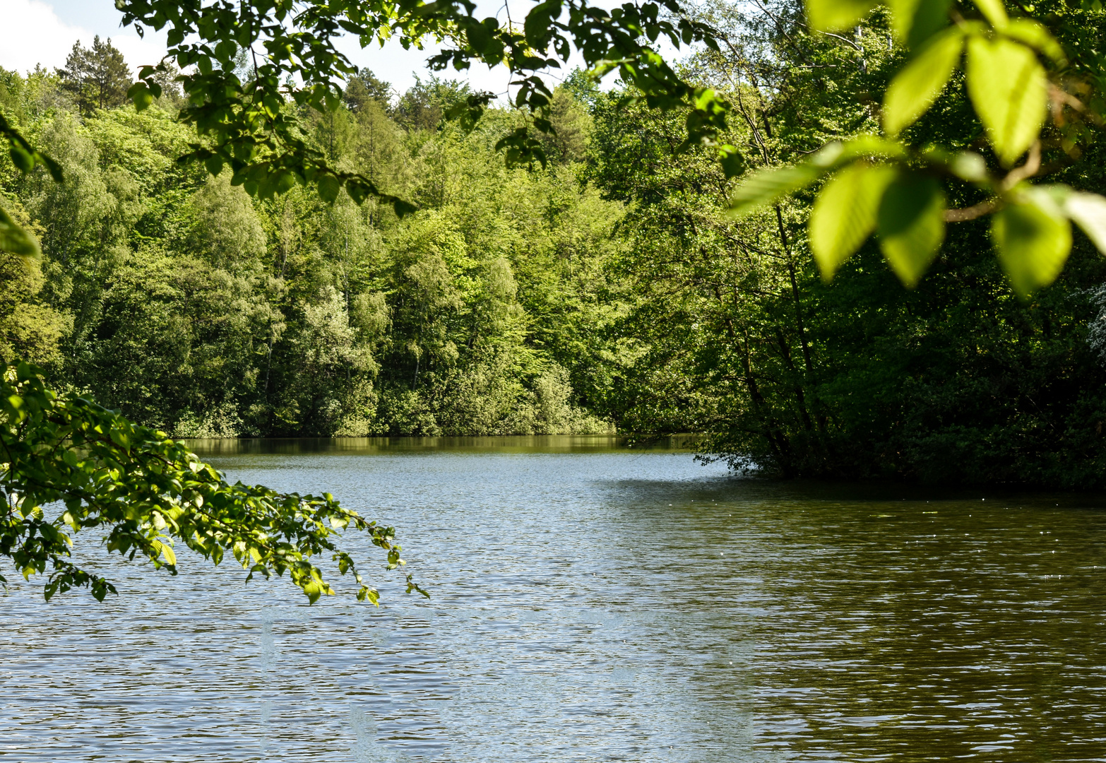 Heute Mittag am See