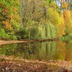 heute Mittag am See ... 