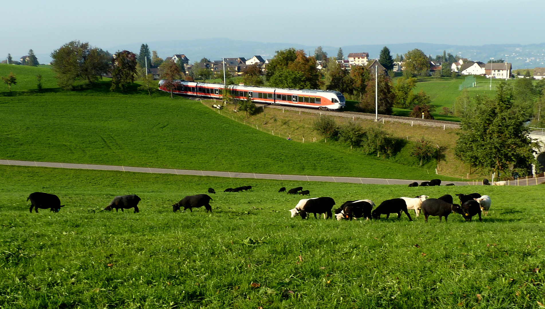 Heute Mittag / Esta tarde / Cet l'après midi..03