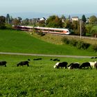 Heute Mittag / Esta tarde / Cet l'après midi..03