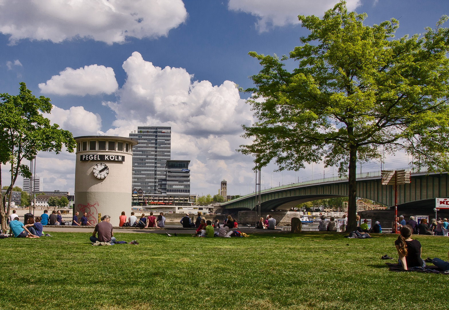 Heute mittag im Rheinpark...