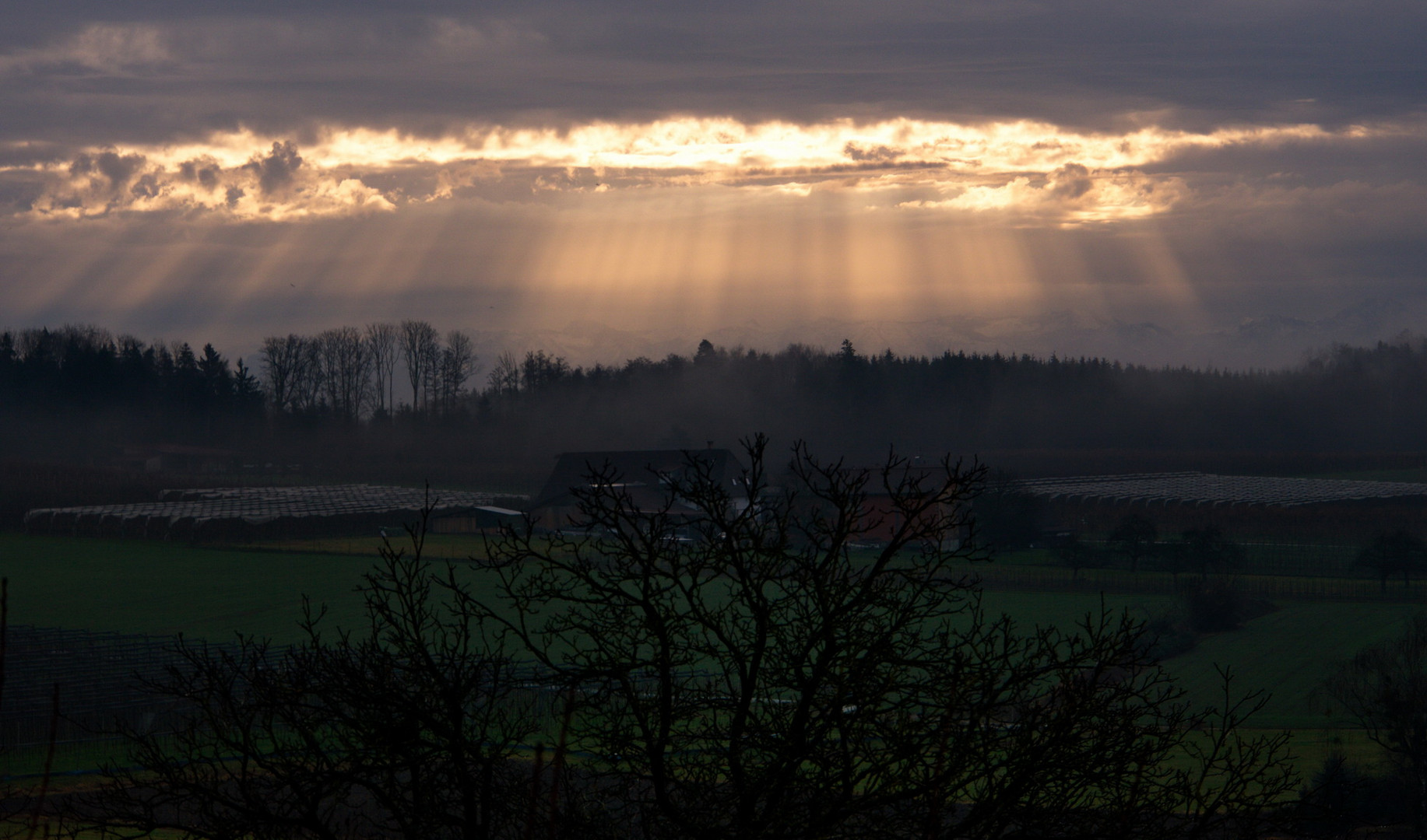 Heute Morgen