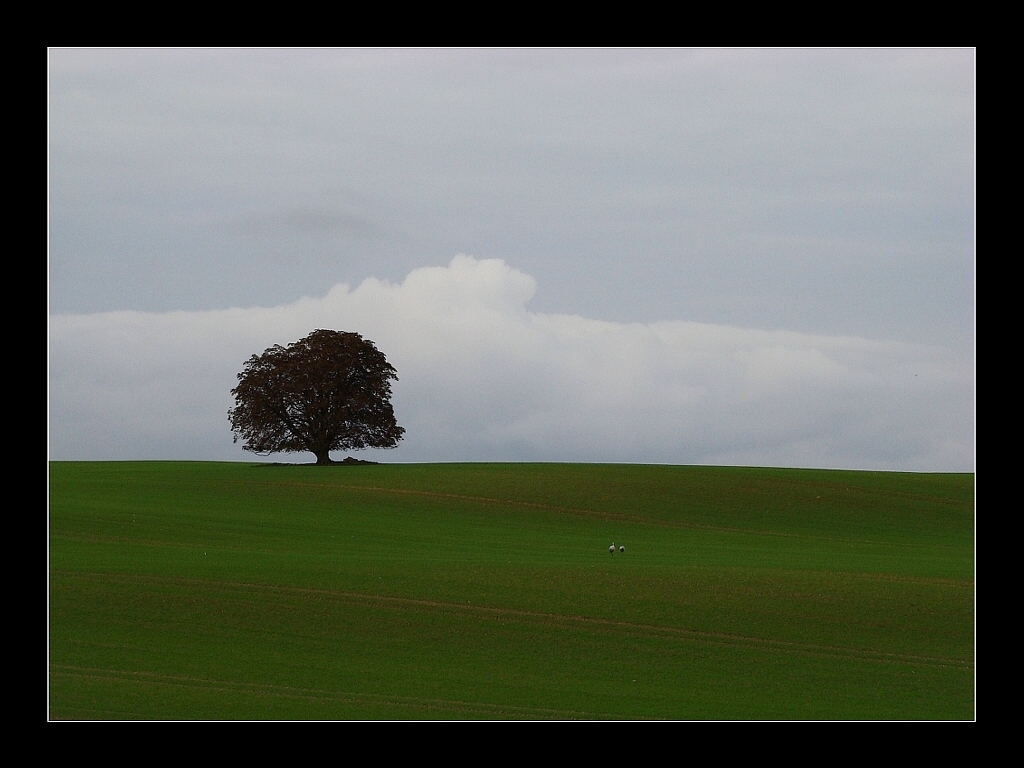 Heute morgen...