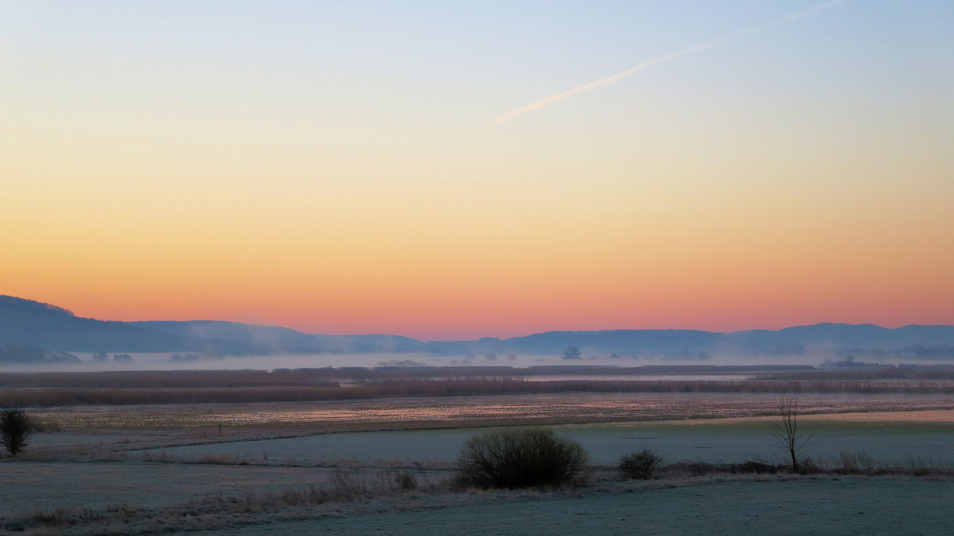 Heute Morgen...