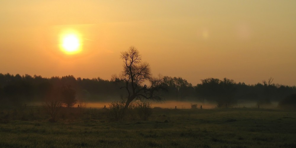 heute morgen