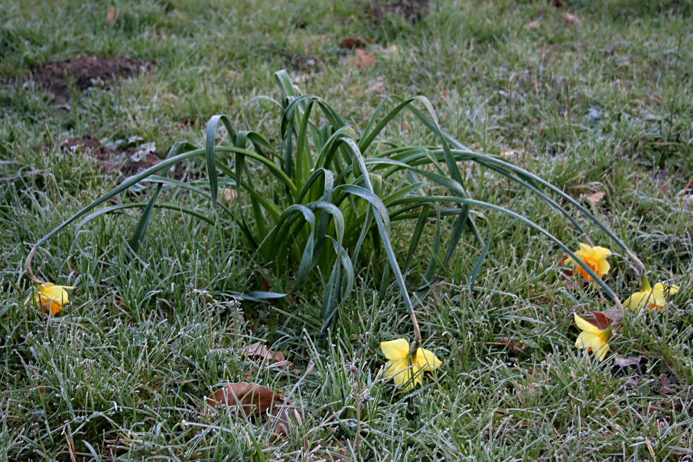 Heute Morgen -3°