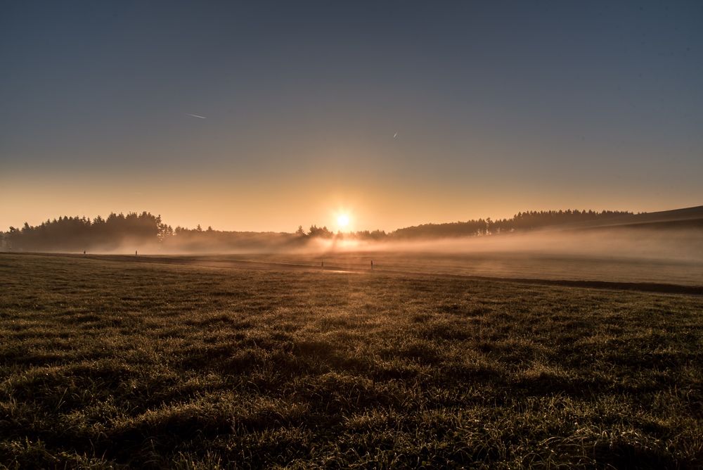 Heute Morgen!