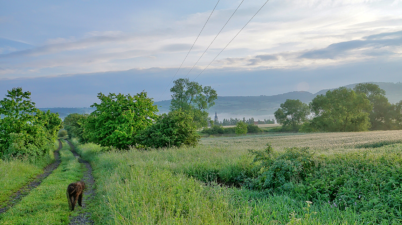 heute morgen, 4 (esta mañana, 4)