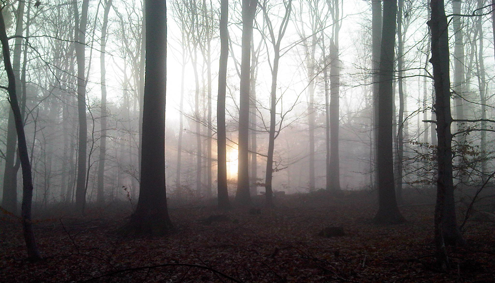 heute morgen