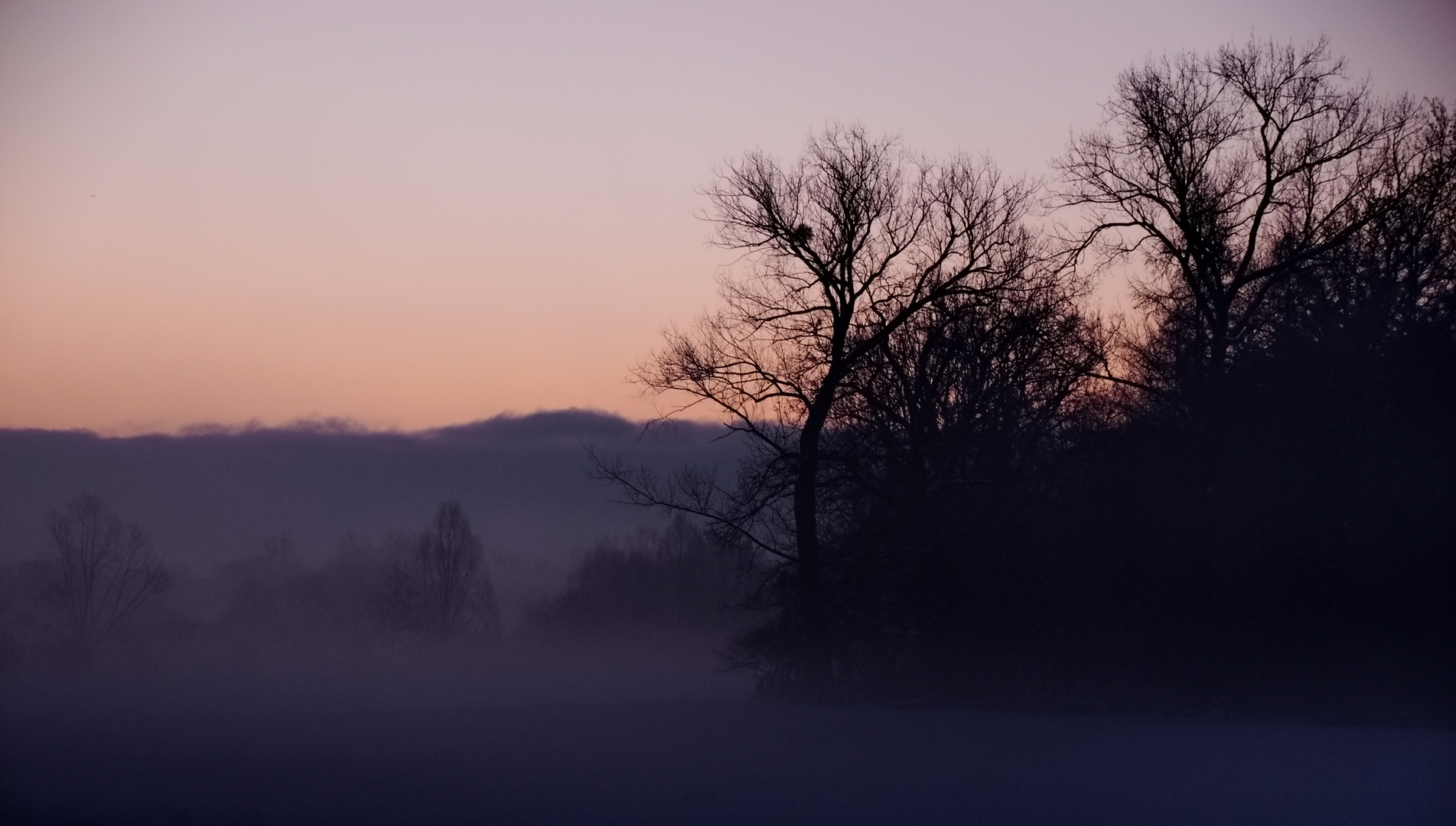 heute morgen